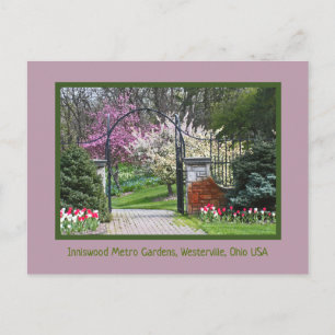 "SPRING BURSTS  FORTH AT INNISWOOD" POSTCARD
