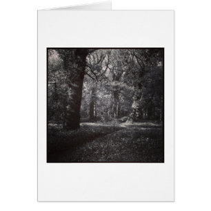 Spring Bute Park, Cardiff, Wales