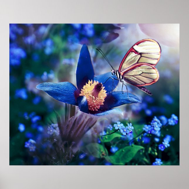 Spring Butterfly on Blue Flower Poster (Front)