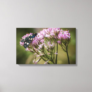 Spring butterfly on wildflowers canvas print