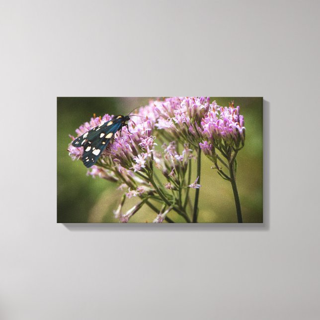Spring butterfly on wildflowers canvas print (Front)