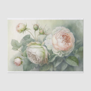 Spring Cabbage Roses Tissue Paper