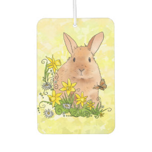 spring car air freshener