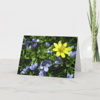 Spring Card
