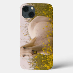 Spring iPhone 13 Case