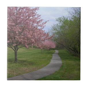 Spring!Ceramic Tile