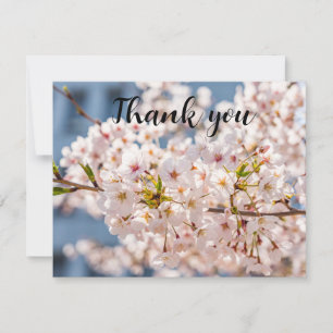 Spring Cherry Blossom Floral Sakura Thank you  Card