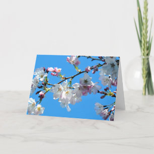 Spring Cherry Blossoms Card