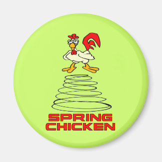 Spring Chicken Magnet