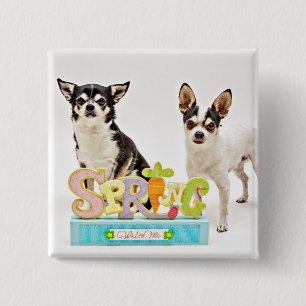 Spring Chihuahua's 15 Cm Square Badge