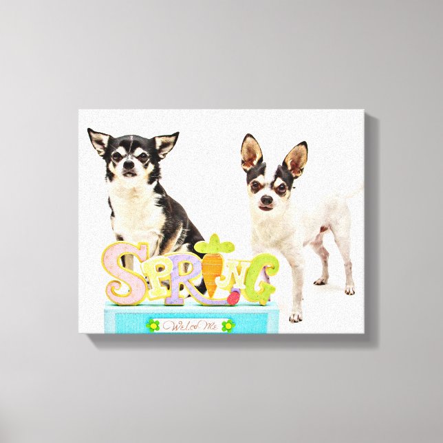 Spring Chihuahua's Canvas Print (Front)