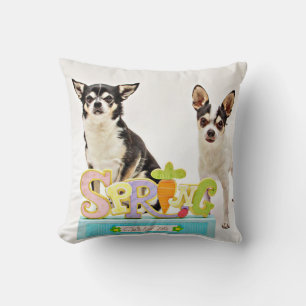 Spring Chihuahua's Cushion