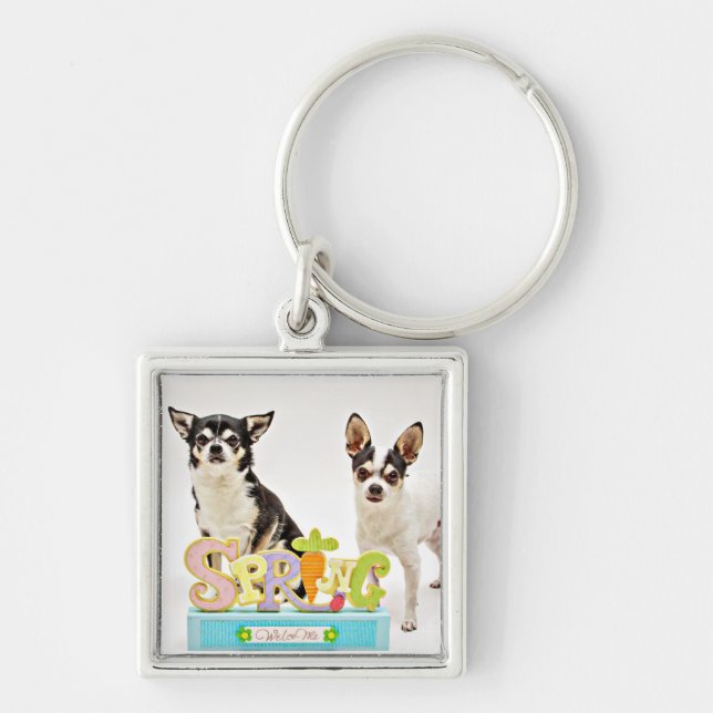Spring Chihuahua's Key Ring (Front)