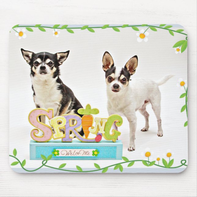 Spring Chihuahua's Mouse Mat (Front)