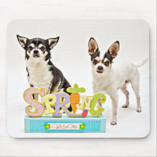 Spring Chihuahua's Mouse Mat