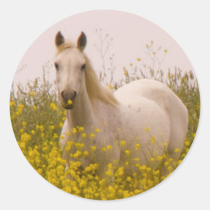 Spring Classic Round Sticker