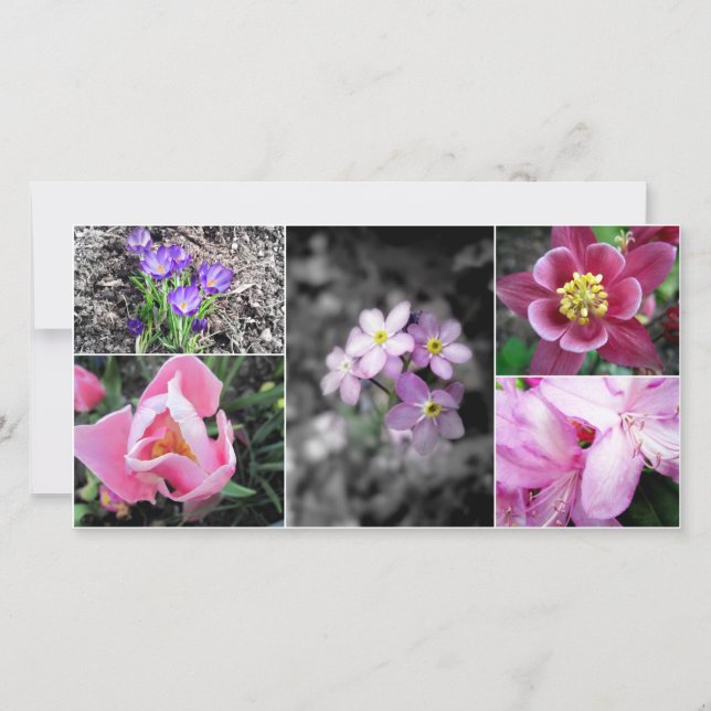Spring Collage Photocard (Front)