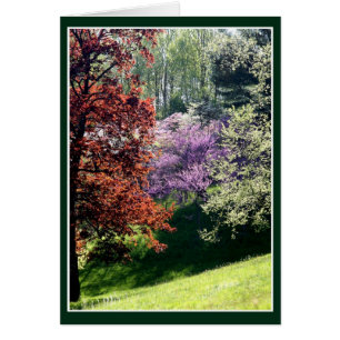 Spring Colours
