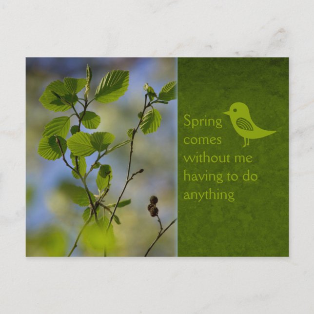 Spring comes anyway CC0836 Relaxing words Postcard (Front)