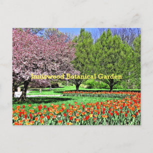 "SPRING COMES TO INNISWOOD BOTANICAL GARDEN" POSTCARD