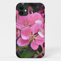 Spring Crab Apple Blossom Flower