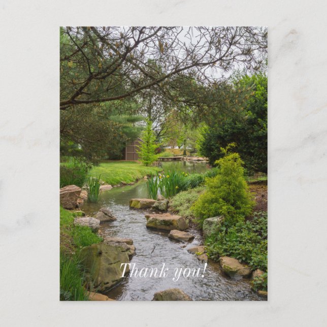 Spring Creek Beauty Postcard (Front)