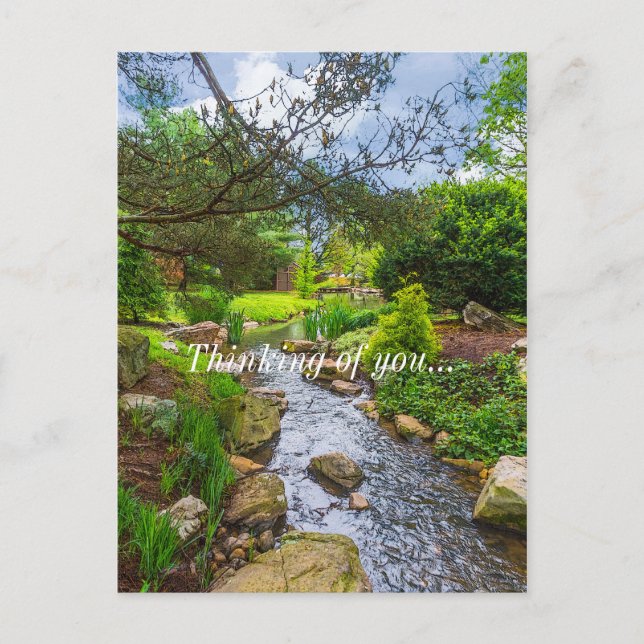 Spring Creek Painterly Thinking Of You Postcard (Front)
