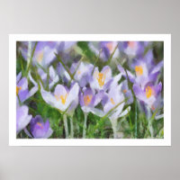Spring Crocus Artwork
