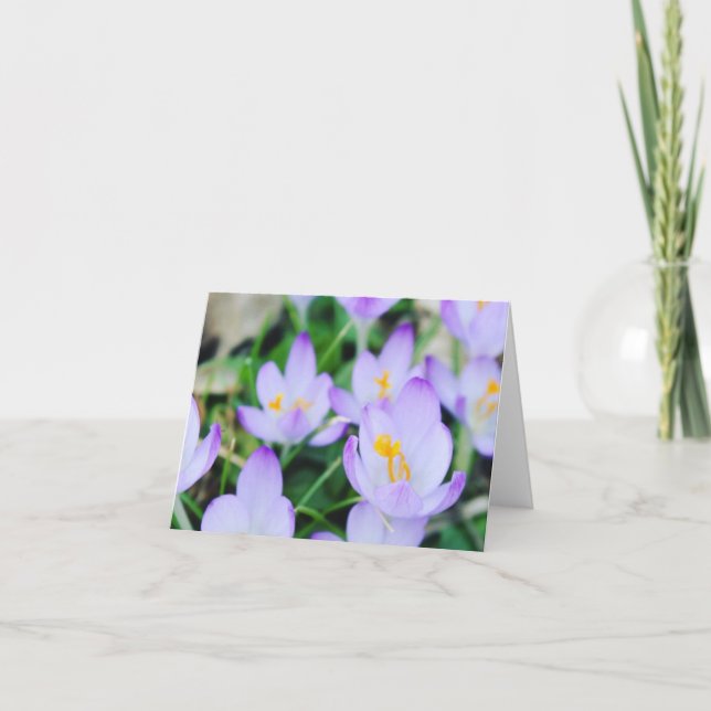 Spring Crocus Field  Holiday Card (Front)