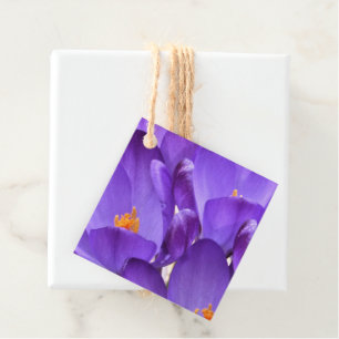 Spring Crocus Flowers Favour Tags