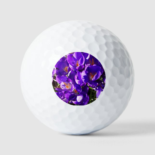 SPRING CROCUS GOLF BALLS (Front)