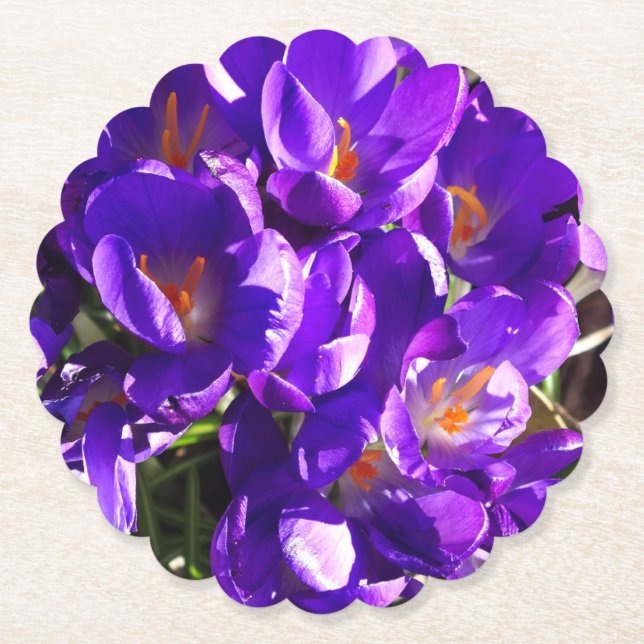 SPRING CROCUS PAPER COASTER (Front)