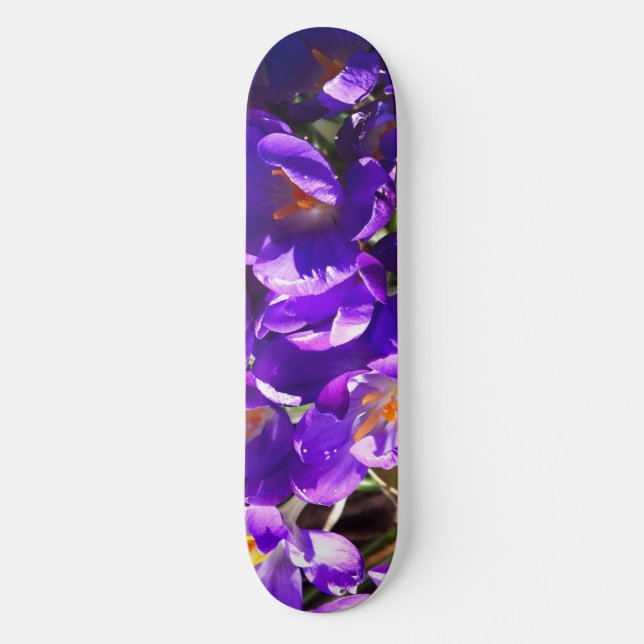 SPRING CROCUS SKATEBOARD (Front)