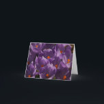 Spring Crocus  Thank You Card<br><div class="desc">Spring Crocus</div>