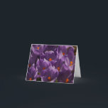 Spring Crocus  Thank You Card<br><div class="desc">Spring Crocus</div>