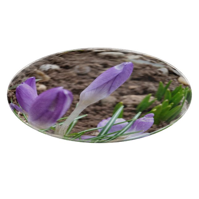 Spring crocuses cutting board (Corner)