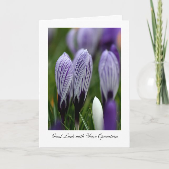 Spring Crocuses - Good Luck with Your Operations Card (Front)