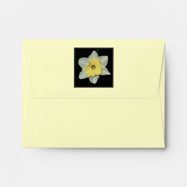 Spring Daffodil Envelopes (Back (Top Flap))
