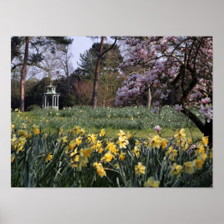 SPRING DAFFODIL GARDEN POSTER