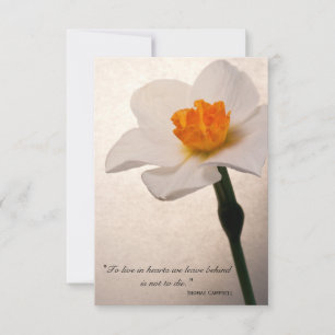 Spring Daffodil Thank You for Your Sympathy Card