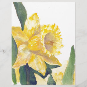 Spring Daffodils