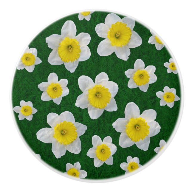 Spring Daffodils Ceramic Knob (Front)
