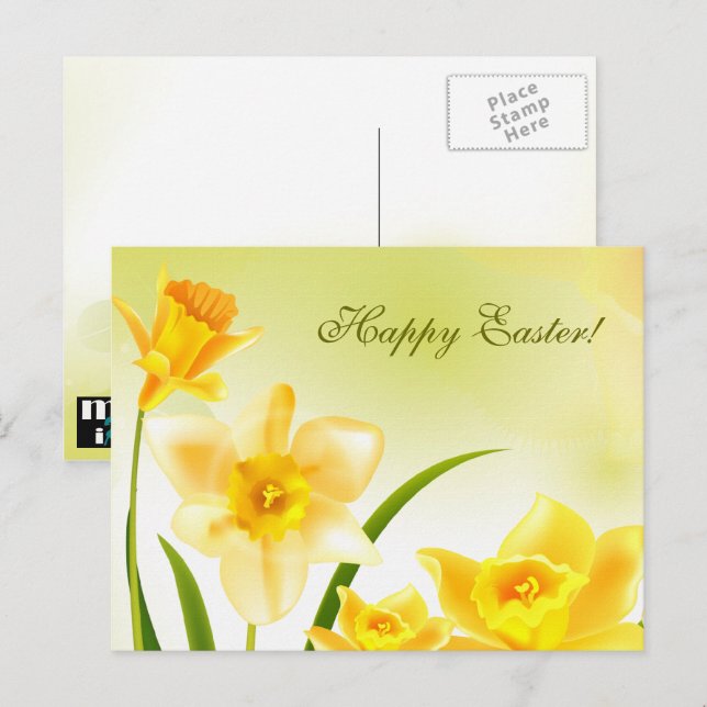 Spring Daffodils Easter  Holiday Postcard (Front/Back)