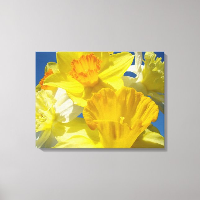 Spring Daffodils Flowers Canvas prints Nature (Front)
