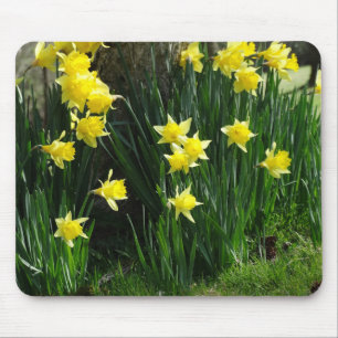 Spring Daffodils Mouse Mat