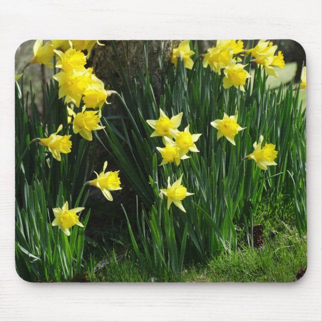 Spring Daffodils Mouse Mat (Front)