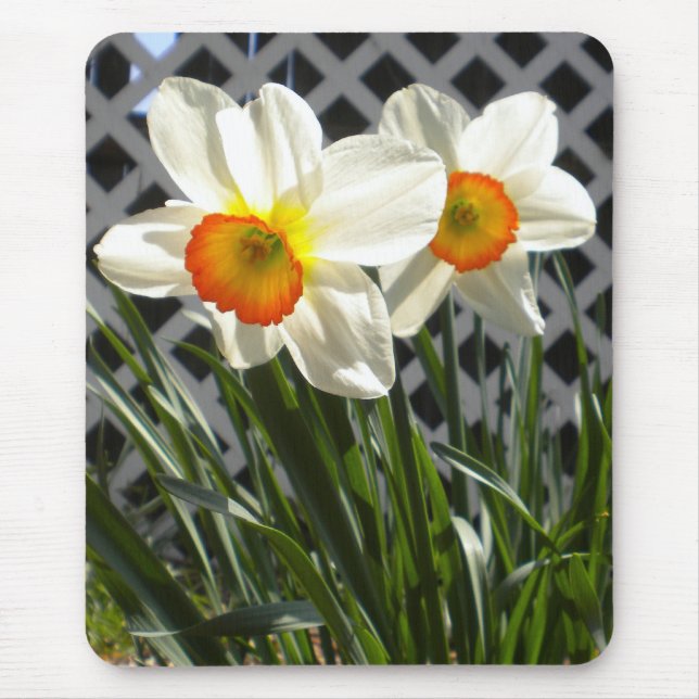 Spring Daffodils Mouse Mat (Front)