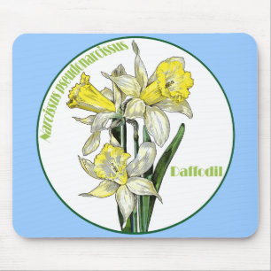 Spring Daffodils Mouse Mat