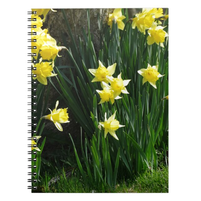 Spring Daffodils Notebook (Front)