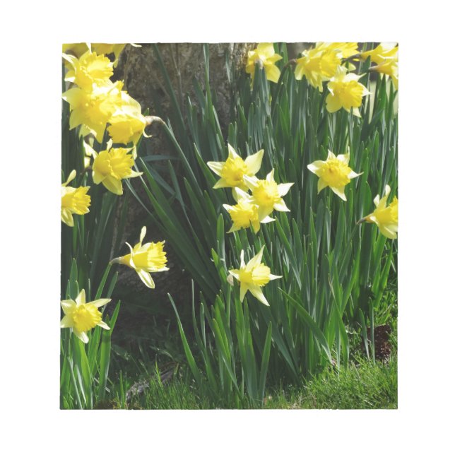 Spring Daffodils Notepad (Front)
